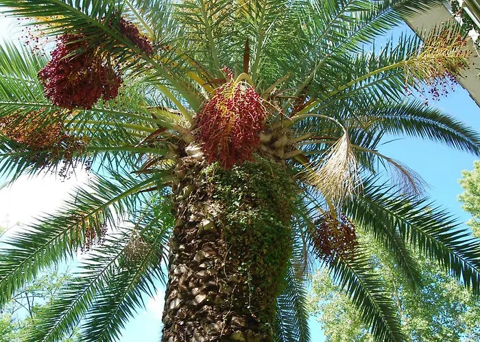 Roma Eur Bed & Breakfast